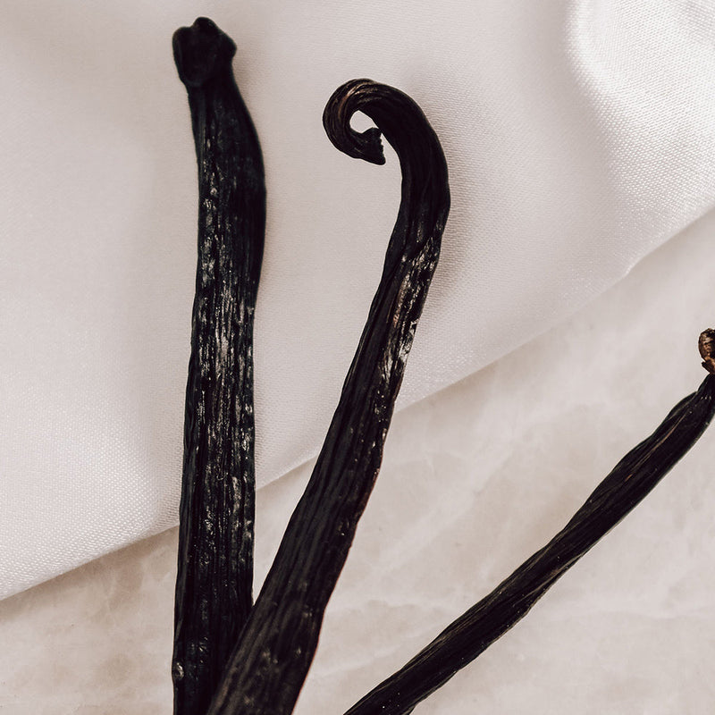 Vanilla Fragrances