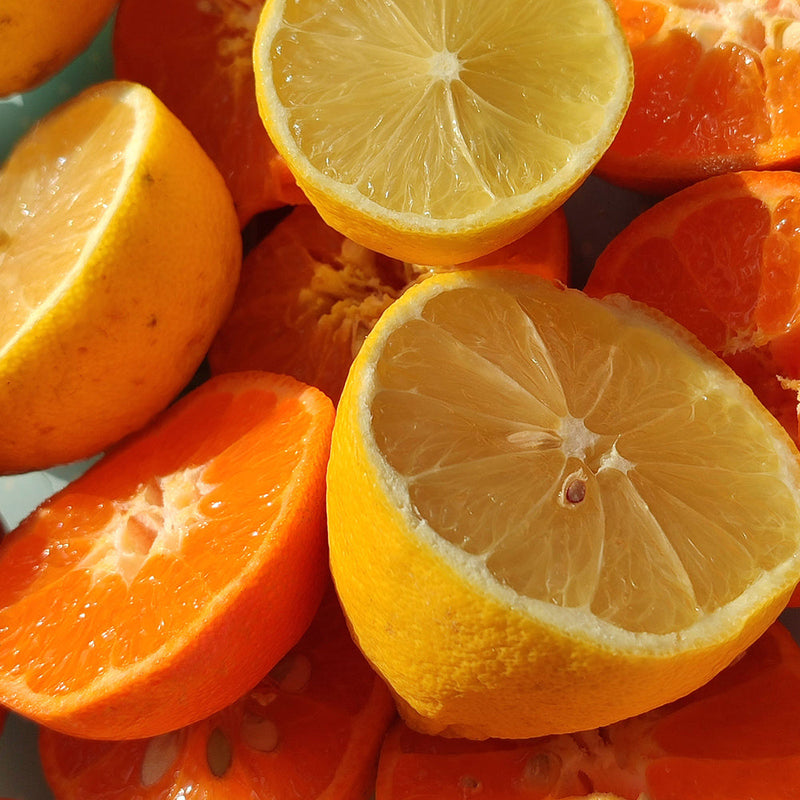 Citrus Fragrances