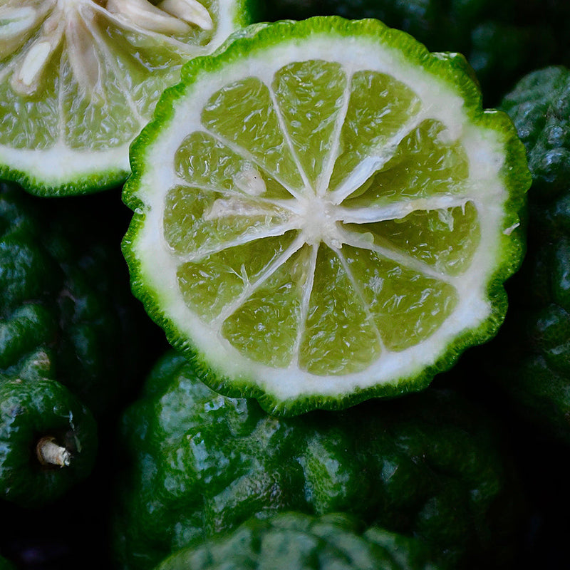 Bergamot Fragrances