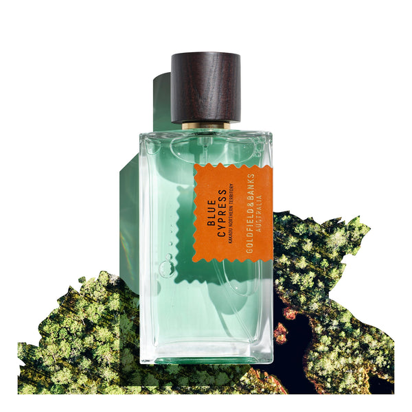Blue Cypress EDP