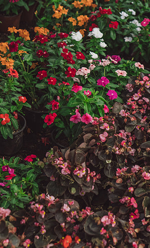 Floral