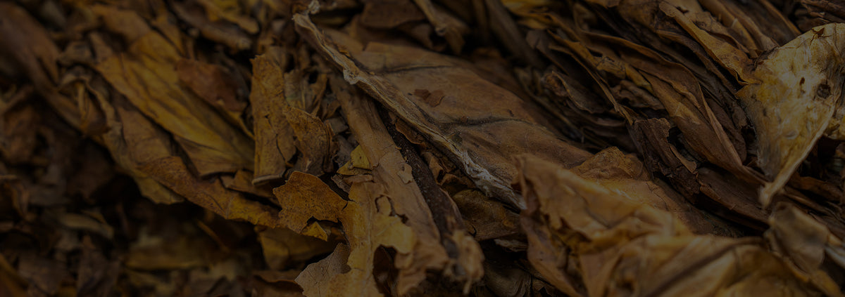 Tobacco Scents