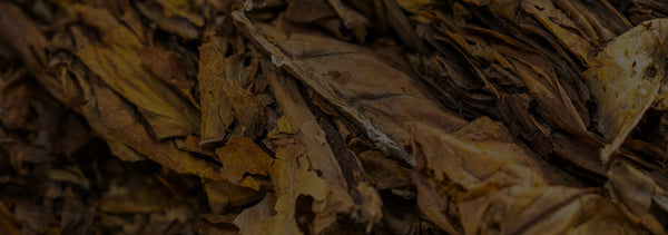 Tobacco Scents