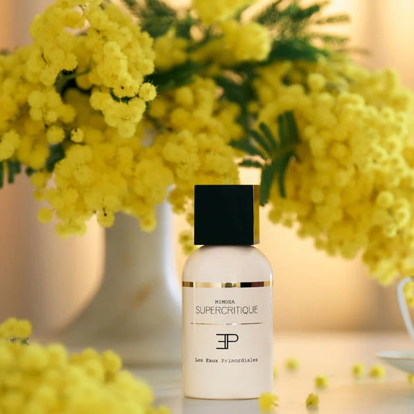 Mimosa Supercritique EDP
