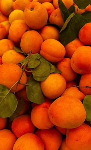 Apricot