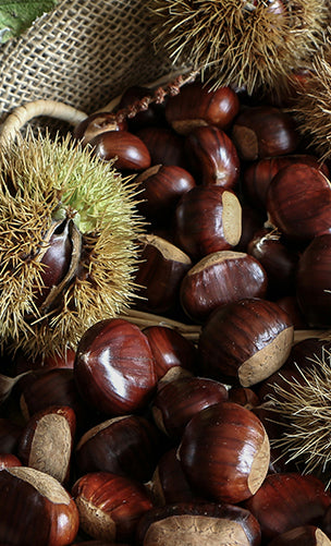 Chestnut
