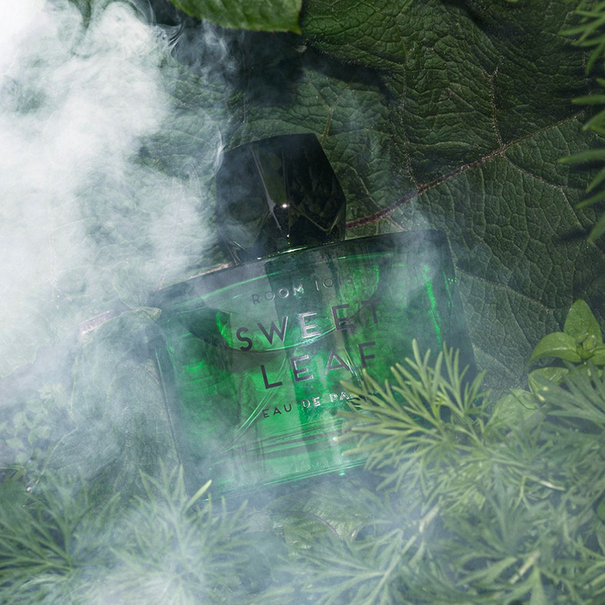 Room 1015 Sweet Leaf Eau De Parfum