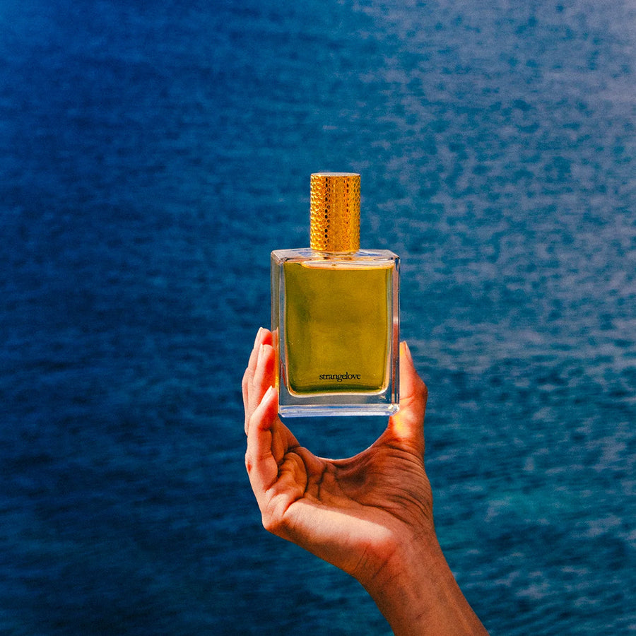 Silence The Sea EDP