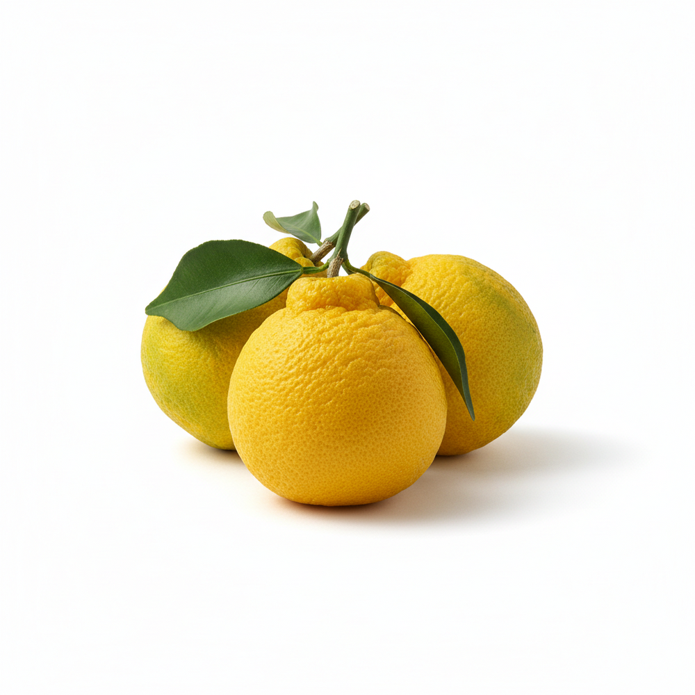 Yuzu