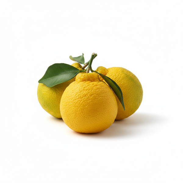 Yuzu
